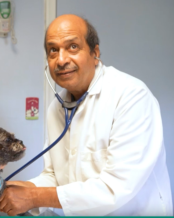 Dr. Ravi Murarka